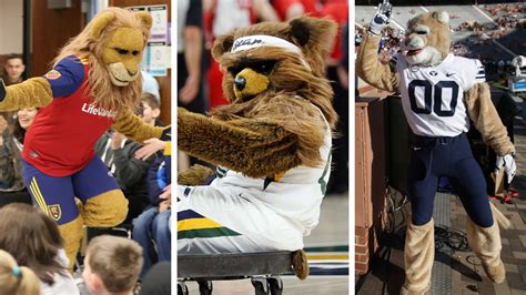 The Power of Team Spirit: How a Grizzly Bear Mascot Ensemble Unites Fans